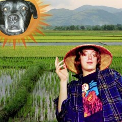 Blues Scale in the 4th Dimension, Twice Flipped