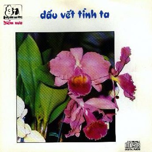 giọt mưa trên lá - thái thanh