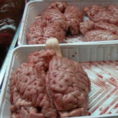 NostroDonny In My Head