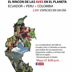 El Rincón de Las Aves en El Planeta - ECUADOR + PERÚ + COLOMBIA: 2.091 spp. en 1 día