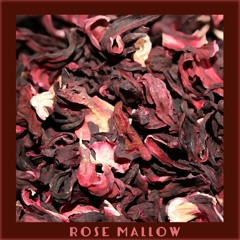 coss & iorie - Rose Mallow