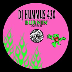 DJ HUMMUS 420 - CHECK