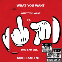 What You Want ft MOB FAM