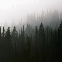 Twin Peaks Theme - Angelo Badalamenti Cover