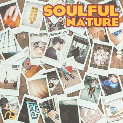 SOULFUL NATURE - Lowdown