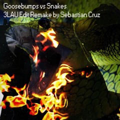 Snakes vs Goosebumps (3LAU Edit) (Remake By Sebastian Cruz) BUY=FREE DOWNLOAD