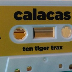 Ten Tiger Trax (free download)