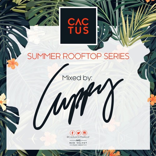 Cactus On The Roof Mix