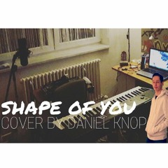 Shape Of You - Ed Sheeran | A TROPICAL PIANOARRANGEMENT BY DANIEL KNOP
