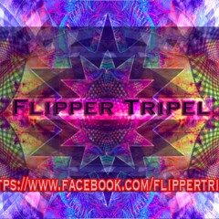 FLIPPER TRIPEL - Monfix (unrel)