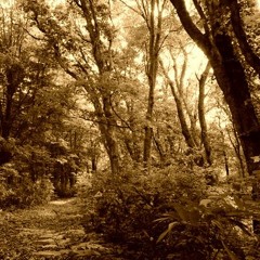 a path