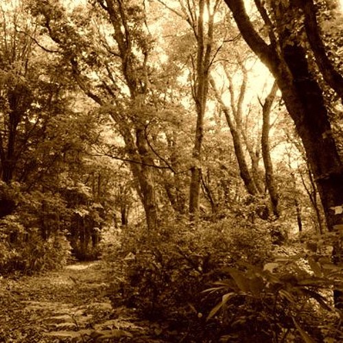a path