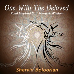 Shervin Boloorian - Baza