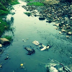Stagnant Pools