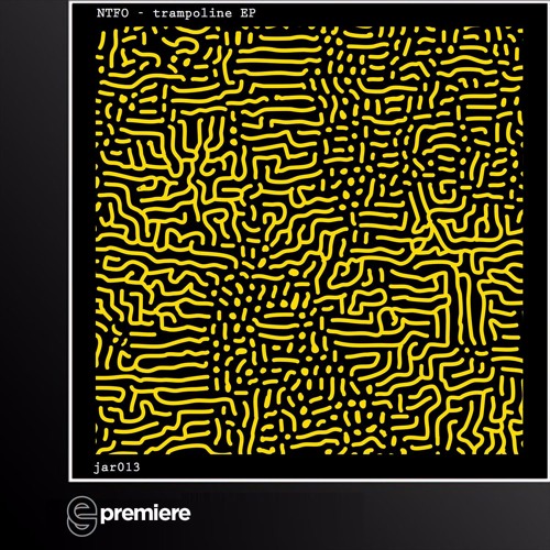 Premiere: NTFO - Dissolve (Jargon!)