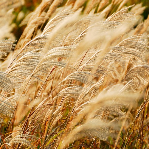 이은하 - 최진사댁 셋째딸