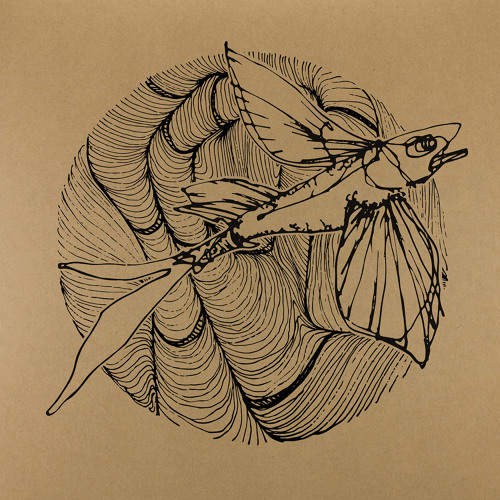 Shite Premiere | Federsen - Contrasts
