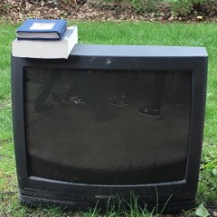 Summer METER 08 - Leja Hazer B2B Daniel Chavez