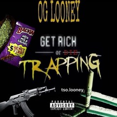 OG L00N3y - Stupid