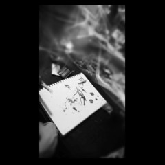 Fly Free / Love Lost