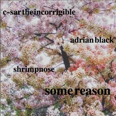 some reason ft. adrian black [prod. shrimpnose]