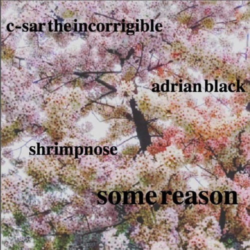 some reason ft. adrian black [prod. shrimpnose]