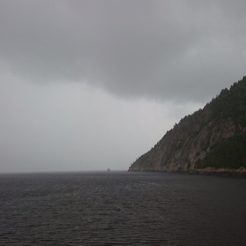 An Orchestra Under The Rain