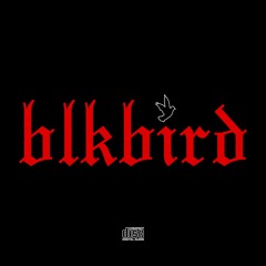 BLKBIRD (Follow My Twitter @yousadbruh)