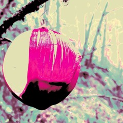 Natural Vibrations Robin Low DJ Mix