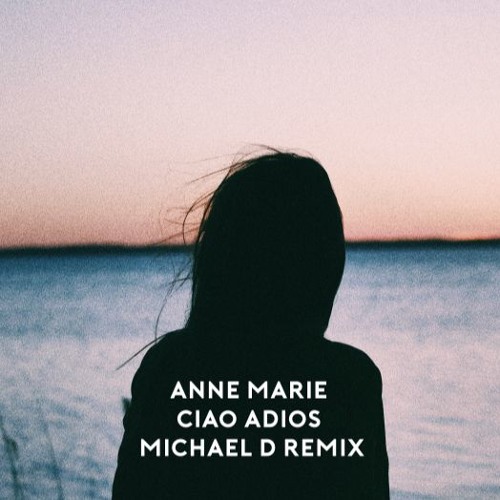 Anne Marie - Ciao Adios (Michael D Remix)