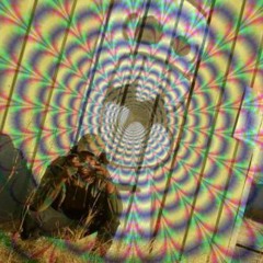 T r e Z - $Lugs N Psilocybin (Prod.BL-DUB) {BASS BOOSTED}