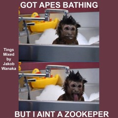 GOT APES BATHING BUT I AINT A ZOOKEEPER