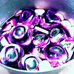 MISS HOLLOWPOINT - AQUARIUM