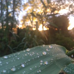 Im So Tired  (Fugazi Cover)