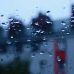 drops.