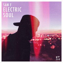 Electric Soul (feat. Denny White)