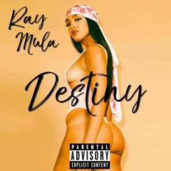 Ray Mula - Destiny Remix