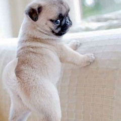 Blank Space-Taylor Swift(aLIEN AFRo cover)