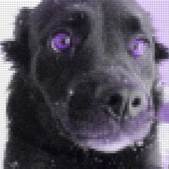 Thank You and Good Night