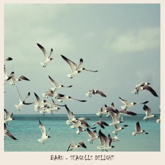 Seagulls Delight