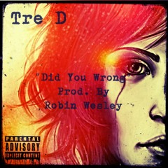 Tre D - Did You Wrong (Prod. By @RobinWesley)