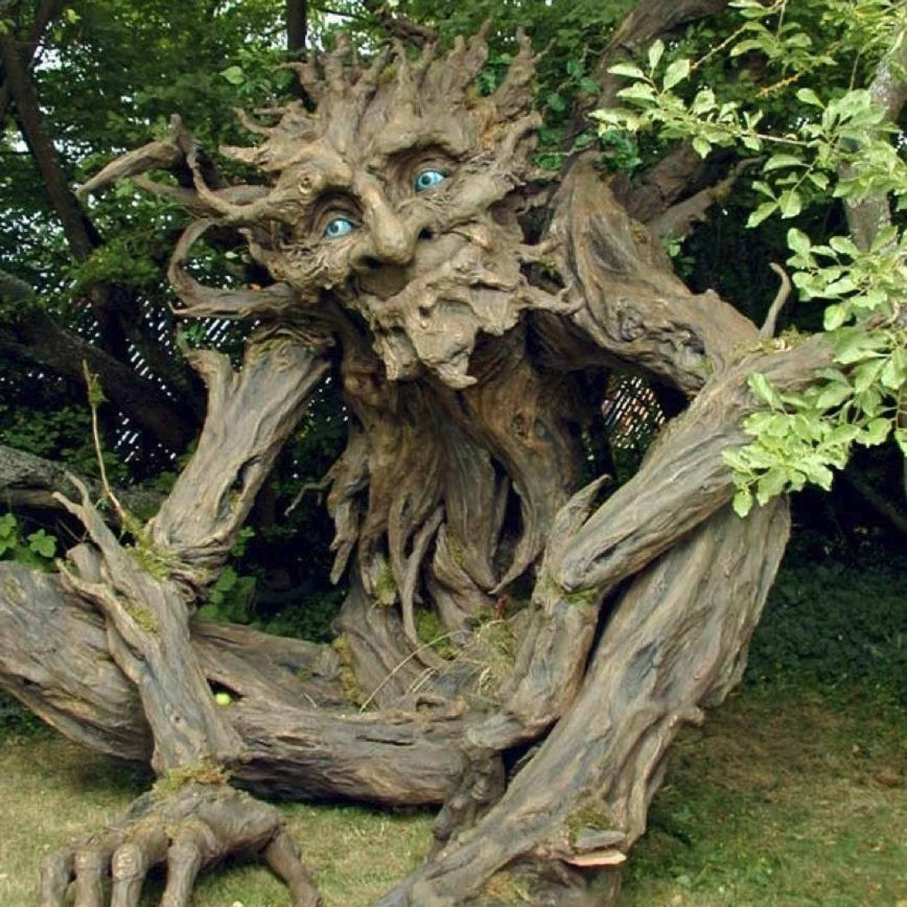 Psysprouts