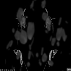 no xo llif3.