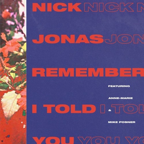 Remember I Told You - Nick Jonas (COVER)