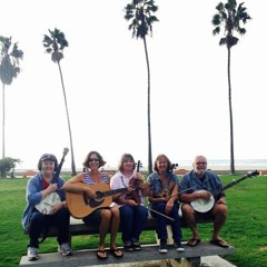 12 Golden Slippers Demo On Fiddle 6 - 1-17