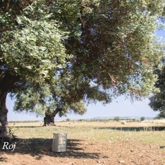 Corre Il Tempo... - Roj