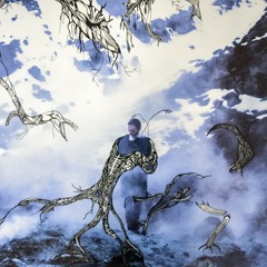 einarIndra - Take me down