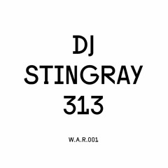 DJ Stingray 313 @ We Are Radar | W.A.R.001