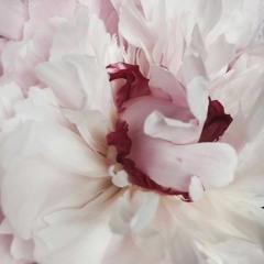 ambient♡