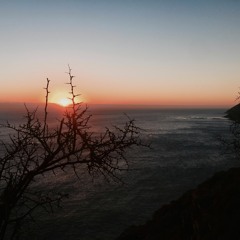 - Ambient Mood And Vinyl Crackle. 01